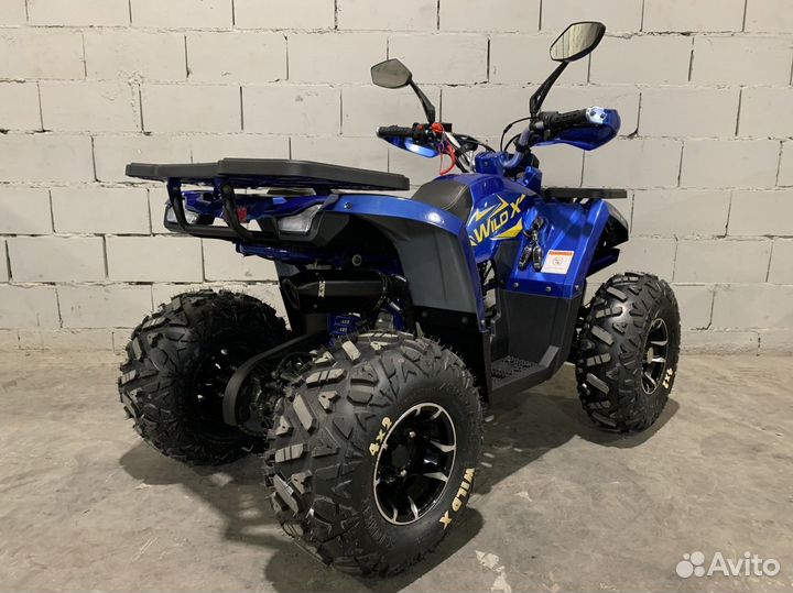 Квадроцикл Motoland 125 wild X PRO