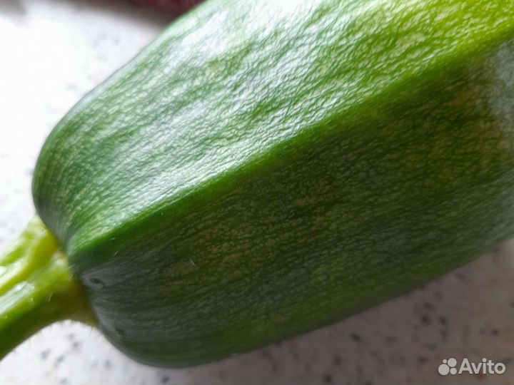 Рассада помидоры, перцы, баклажаны, клубника