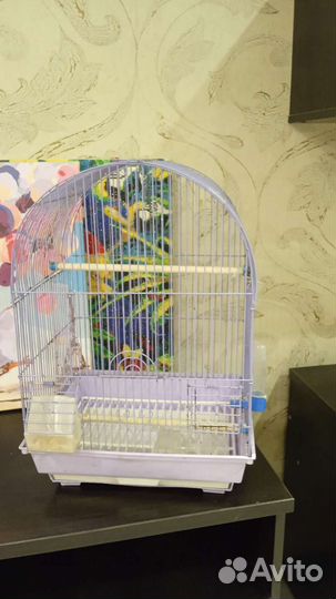 Клетка для попугая очень просторная +корм пачка