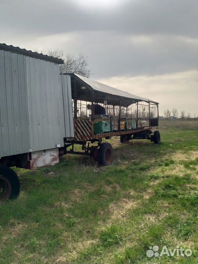 Продается пасека