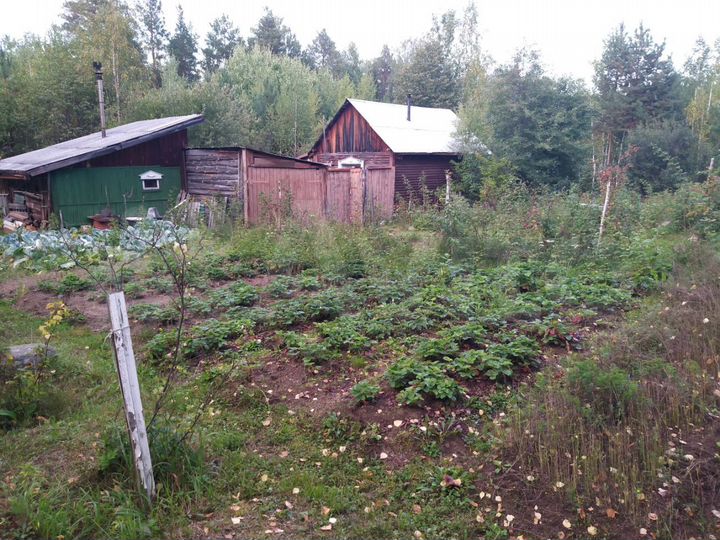 Дача 30 м² на участке 15 сот.