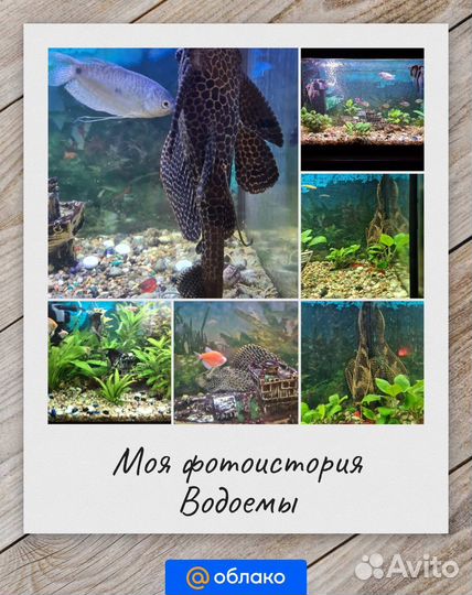 Продам аквариум для рыбок