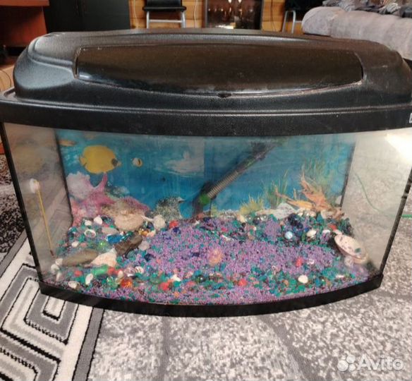 Аквариум