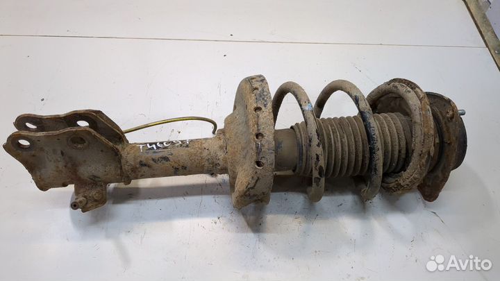 Амортизатор подвески Subaru Forester (S12), 2010