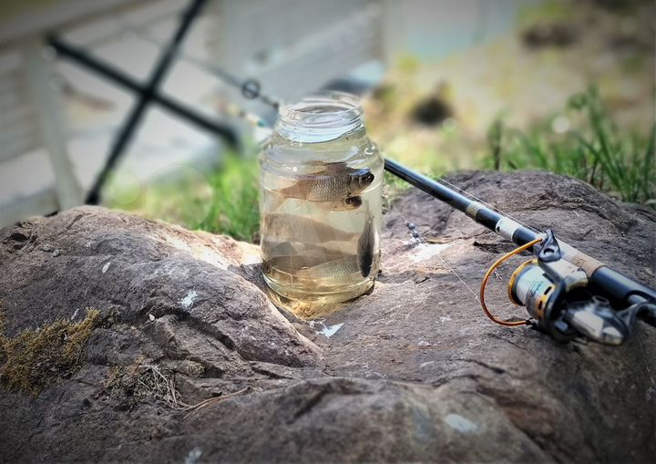 Дом 130 м² на участке 13 сот.