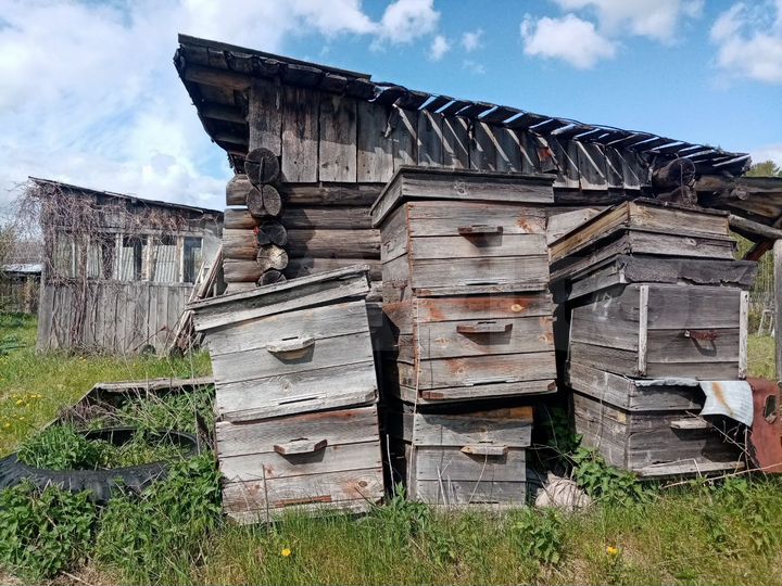 Дача 38 м² на участке 17 сот.