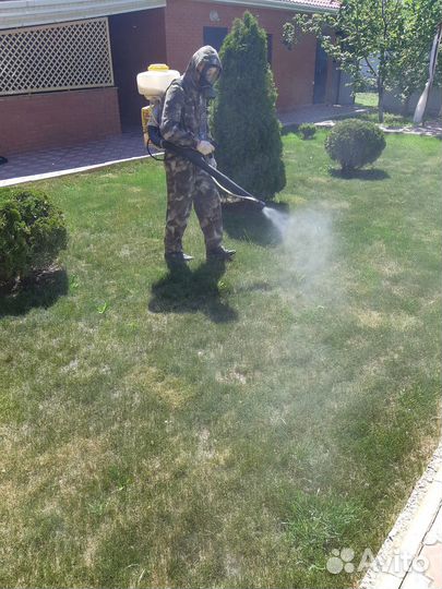 Дезинфекция