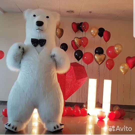 Белый мишка и его команда на ваш праздник