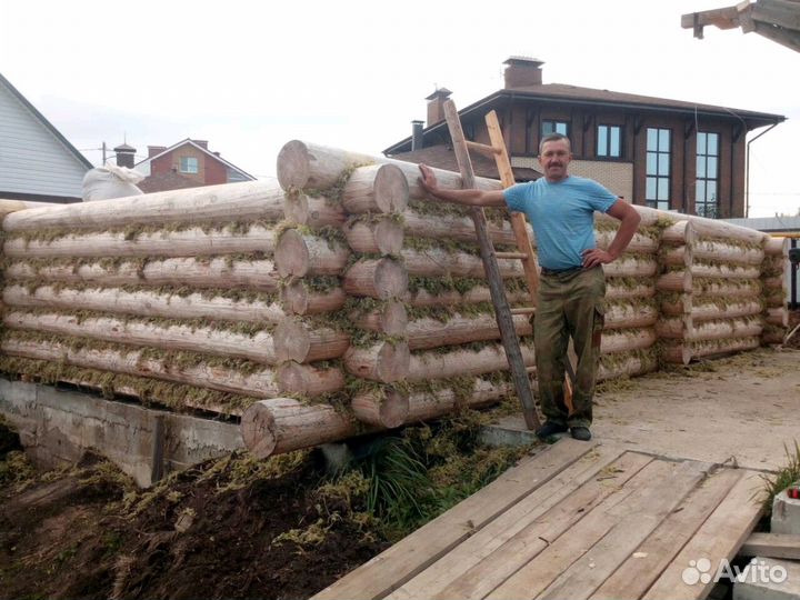 Срубы домов и бань