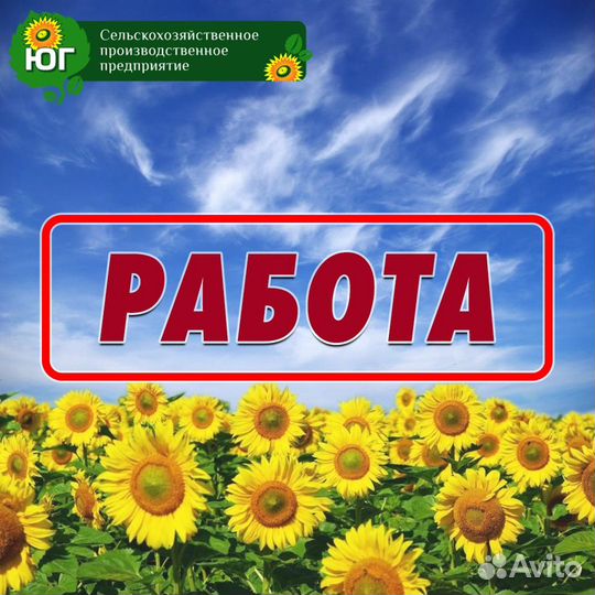 Рабочий на производство/разнорабочий