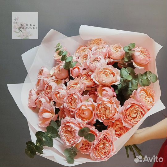 Розы Эквадор кустовые эвкалипт