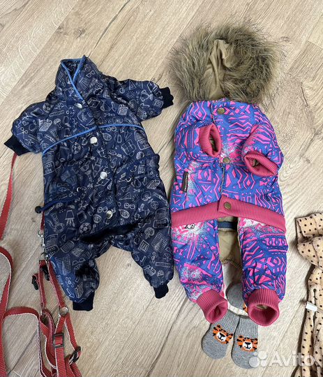 Одежда для маленькой собачки, лежанка, игрушки