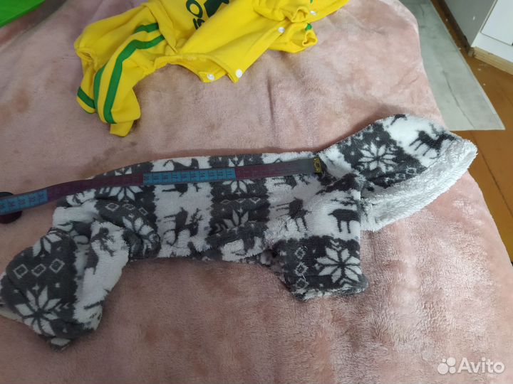 Одежда для собак мальчик