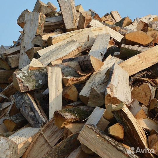 Дрова березовые