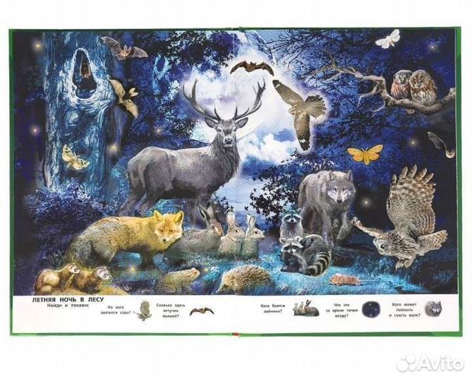 Большая книга о животных Виммельбух