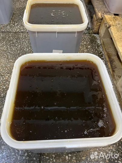 Мёд свежий дягиль сбор 2023 г Опт