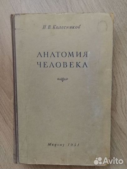Анатомия человека