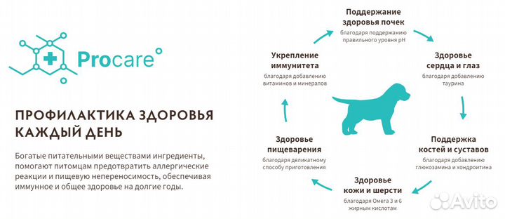 Корма для животных