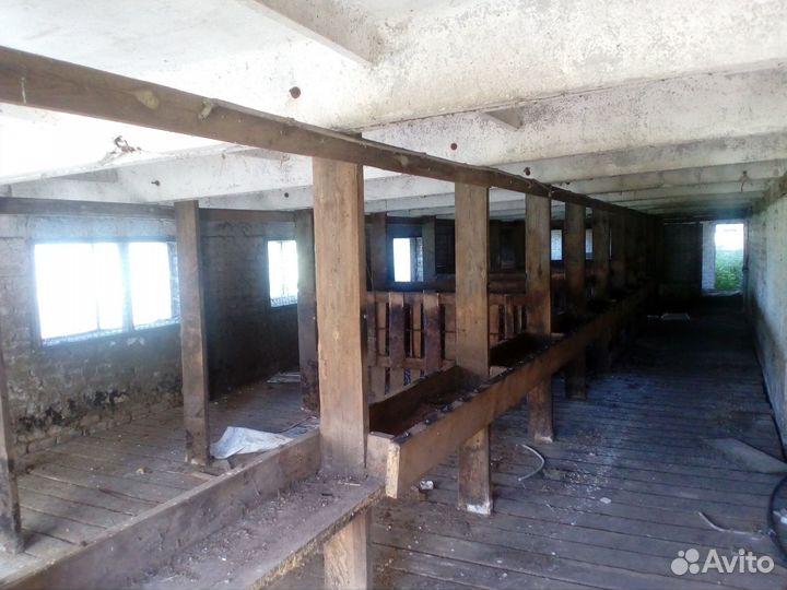 Ферма 350 м2 и 32 га. пахотной земли с/х в аренду