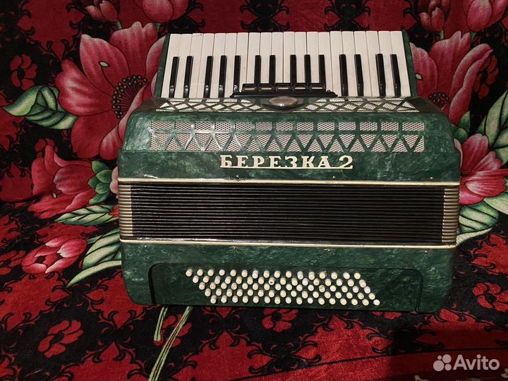 Аккордеон березка 2