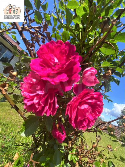 Дом 108 м² на участке 7,9 сот.