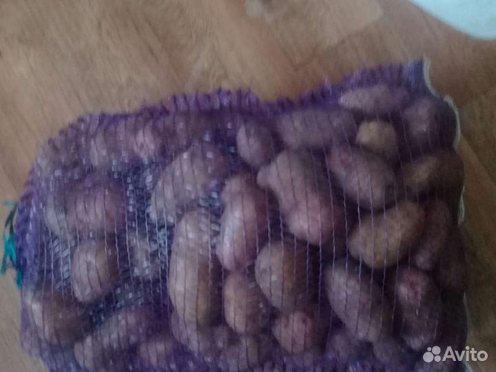 Продам Картофель