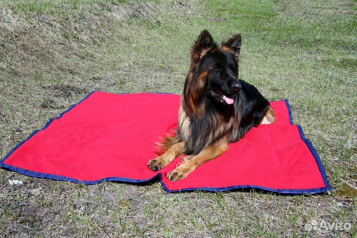 Коврик для животных