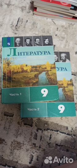 Литература 9 класс