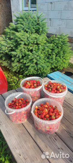 Варенье. Компоты. Доставка