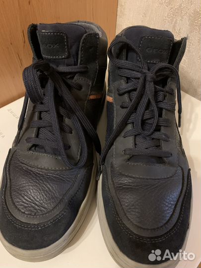 Ботинки мужские Geox