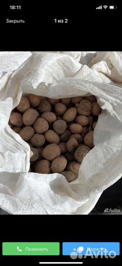 Картофель мелкий на корм