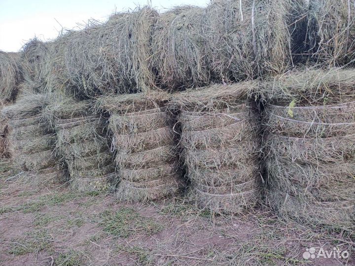 Сено в рулонах 20 -25 кг