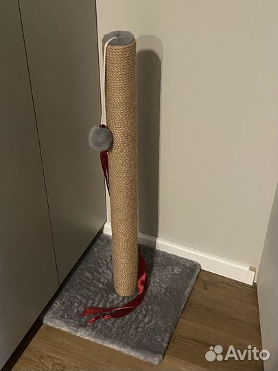 Когтеточка