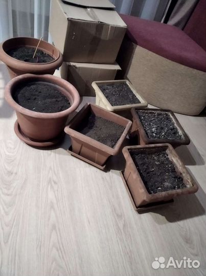 Большие горшки под цветы