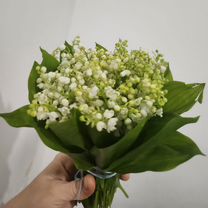 Ландыши букет, Махачкала