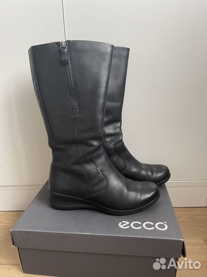 Ecco сапоги демисезон 36