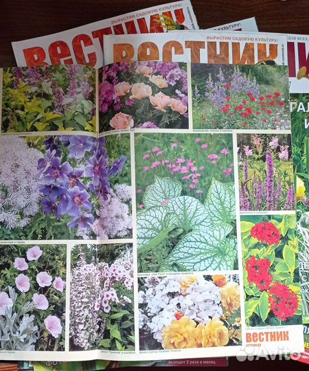 Журналы Вестник цветовода 2007-2010 гг. 18 шт