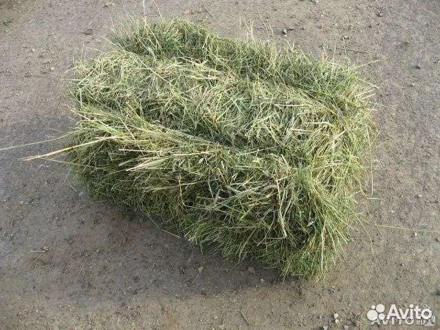 Сено в тюках