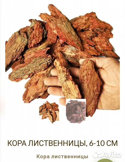 Кора лиственницы