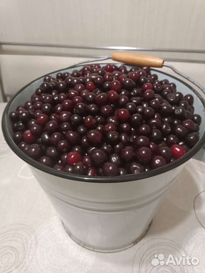 Вишня ягода свежая