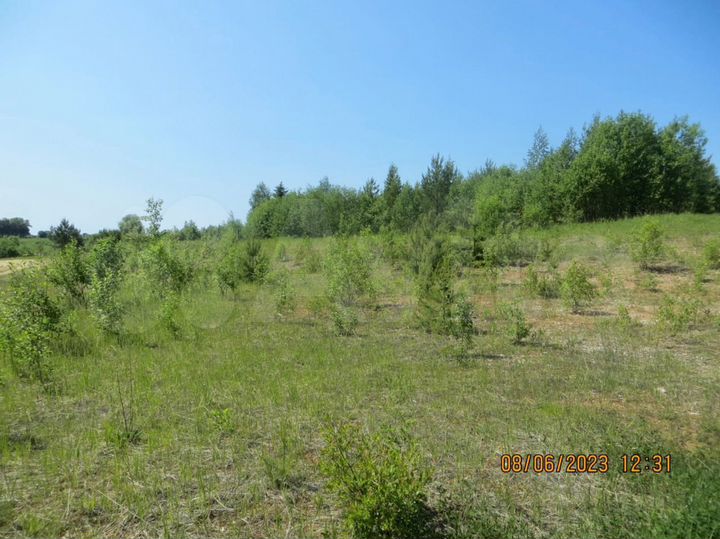 Участок 313,83 га (ИЖС)