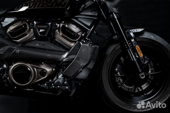 Harley Davidson Sportster S карбоновые элементы