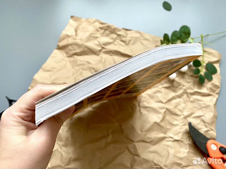 Все о комнатных растениях