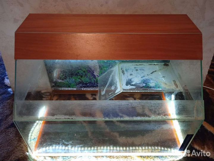 Террариум для красноухой черепахи