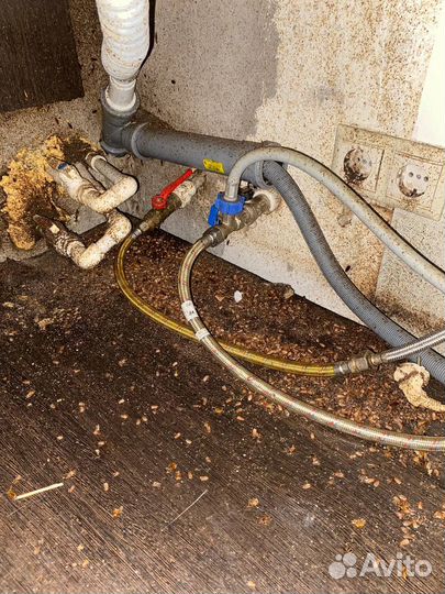 Уничтожить клещей, ос, кротов, клопов, борщевик