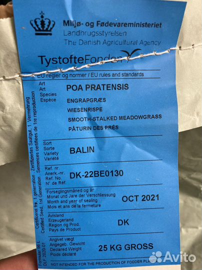 Газонная трава