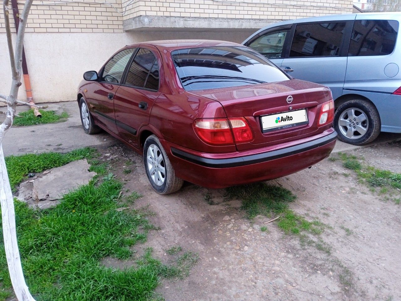 Nissan Almera: фото владельца