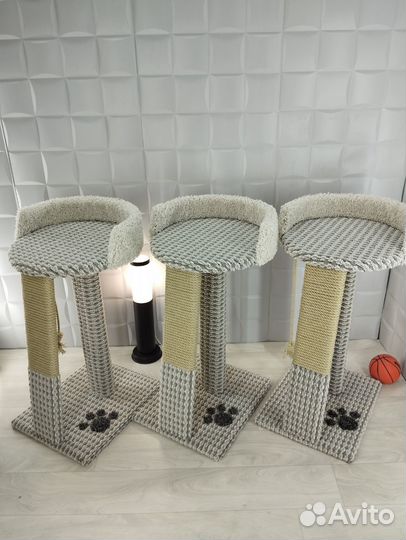 Когтеточка