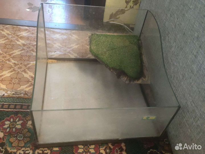 Аквариум для морских черепах