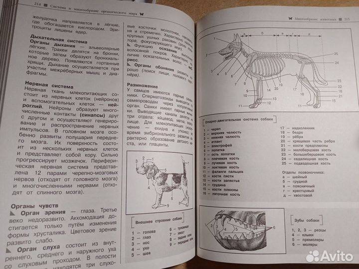 Справочник по биологий